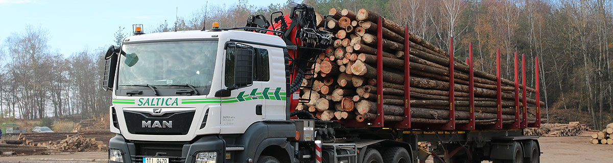 Fotografie - SALTICA spol. s r.o., dřevařská obchodní společnost